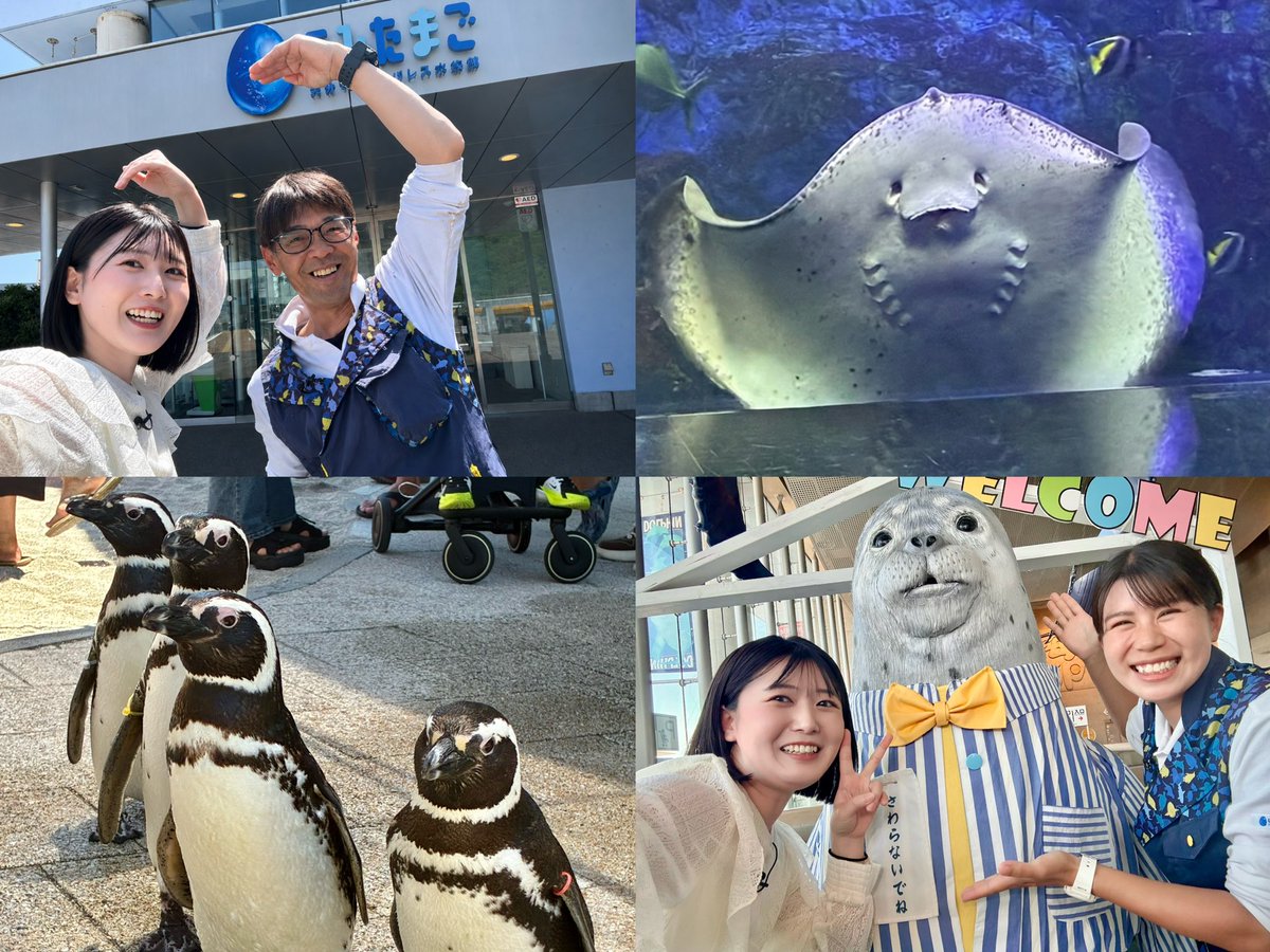 豆太郎大きな (@bigmame7777) / Posts / X