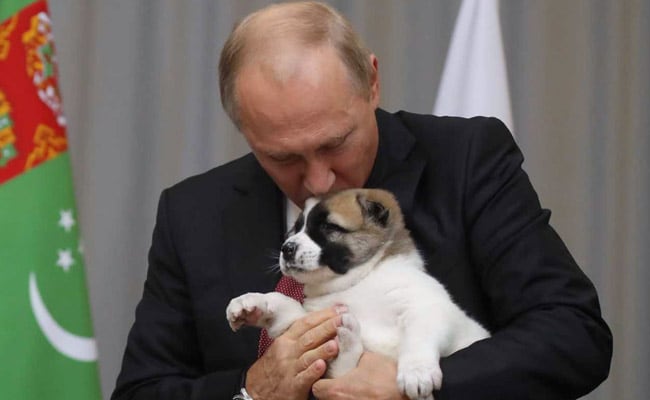 CDennig's tweet photo. @marianagnche That is great, but this is my favorite: https://t.co/CK9pTFZYiz