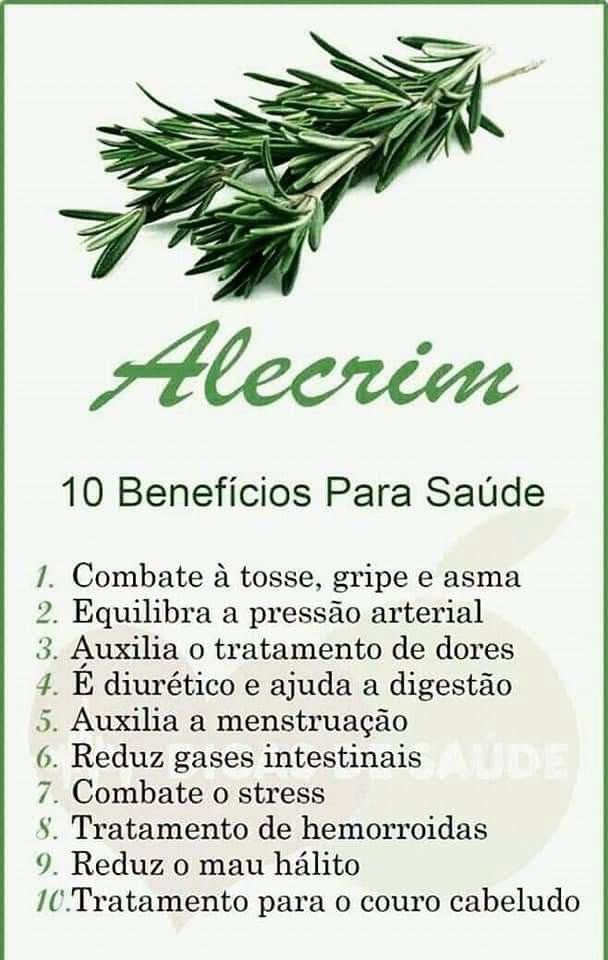 DaAcervo's tweet photo. 🌿 ALECRIM: UMA ERVA QUE FAZ MUITO BEM À SAÚDE!
 
Conhecido por dar sabor aos pratos, o alecrim também é poderoso remédio natural! 
Veja seus principais benefícios:
 
✅ Ajuda a aliviar tosse, gripe e asma
✅ Equilibra a pressão arterial
✅ Alivia dores no corpo
✅ Melhora a digestão e elimina o excesso de líquidos
✅ Reduz gases e desconforto intestinal
✅ Combate o estresse e acalma
✅ Ajuda em casos de hemorroidas
✅ Deixa o hálito mais fresco
✅ Cuida da saúde do couro cabeludo e dos cabelos
 
Dica de uso: 
Faça um chá com 1 ramo de alecrim para 250ml de água fervente, deixe descansar 5 a 10 minutos, coe e beba morno.
Evite em quantidades excessivas!
 
.