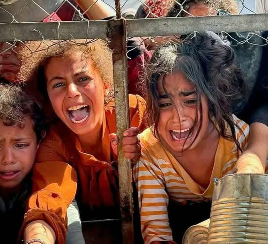 نمر المحور tweet media