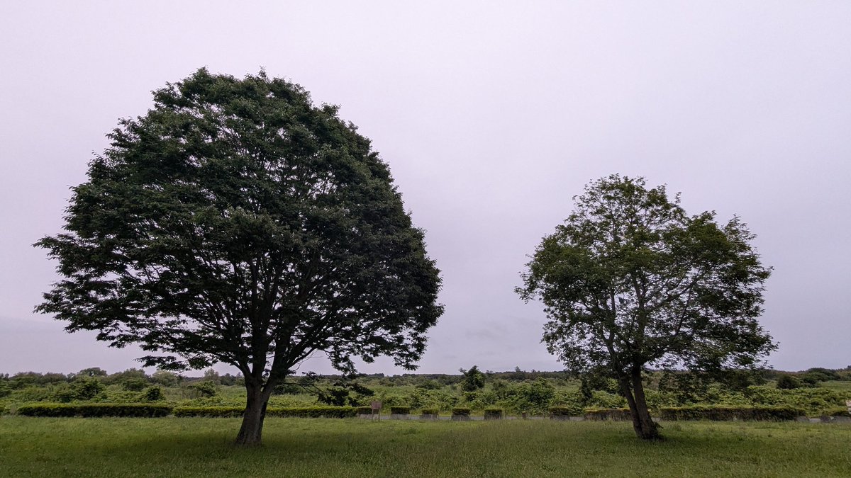 bunbun9012's tweet photo. おはようございます。
今朝も安定の曇り空☁
この過ごしやすさをいつか懐かしく思う日が来るよね〜と思う華金の朝😀

皆さま今日もご安全に🍀

#イマソラ
@栃木県宇都宮市 https://t.co/OfUW2BztxX