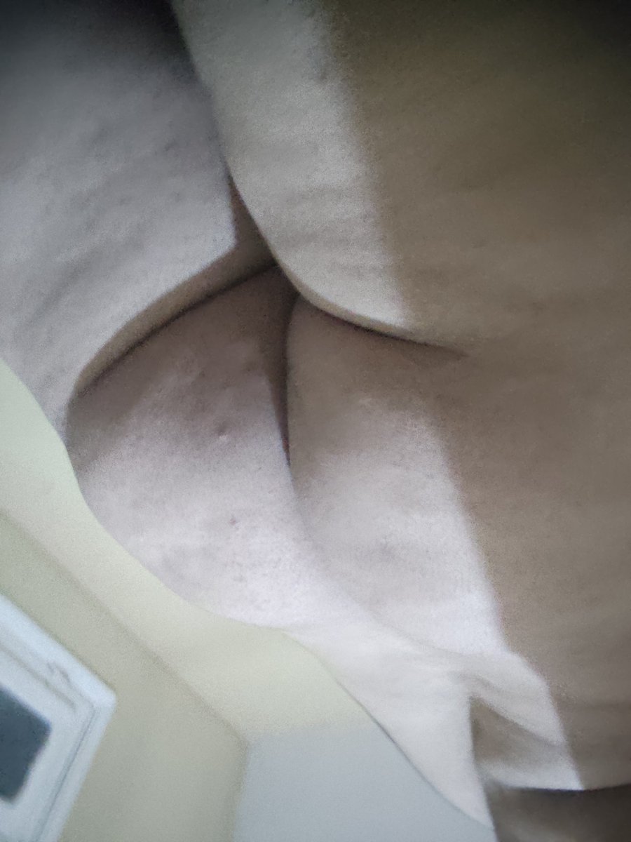 Dal3boyy's tweet photo. لو حد من المنصوره يبعت ضروري الجاد والمكان موجود 🤝🏼🔥🍑🫠 https://t.co/egIHT7UyFw