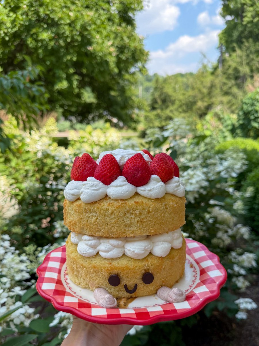 irlzeldas's tweet photo. Please be nice to my Jellycat cake. He’s sensitive https://t.co/7ReCsZ3zvL