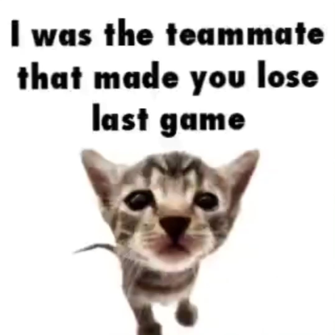 PunchingCat's tweet photo. https://t.co/T9JUCjrzeG