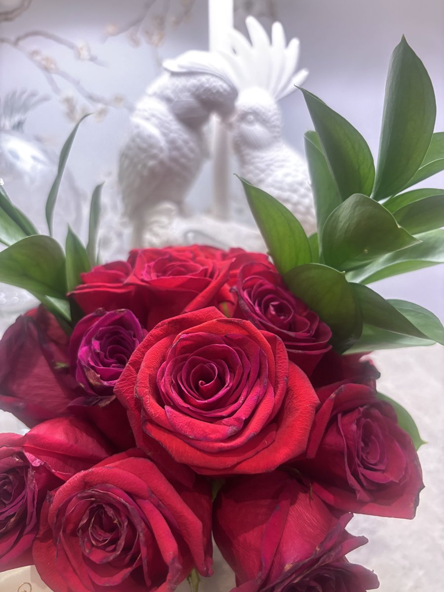 UmSukar's tweet photo. القلبُ كالعصفور يهبطُ في المكان الذي يشعرُ فيه بالأمان ❤️ https://t.co/N9IjxIPUSV