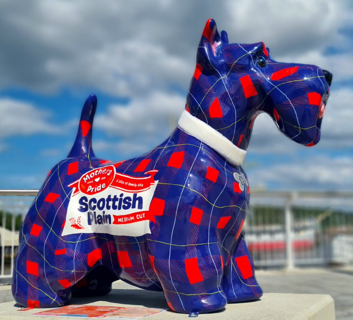 is_glasgow's tweet photo. Love this Mother's Pride Scottie by the Clyde in Govan. Part of the Maggie's Scotties in the City Art Trail, it was created by Steele McTurk and is sponsored by SSAFA.

#glasgow #govan #motherspride #publicart #scottiesinthecity https://t.co/2KVkELdVYW