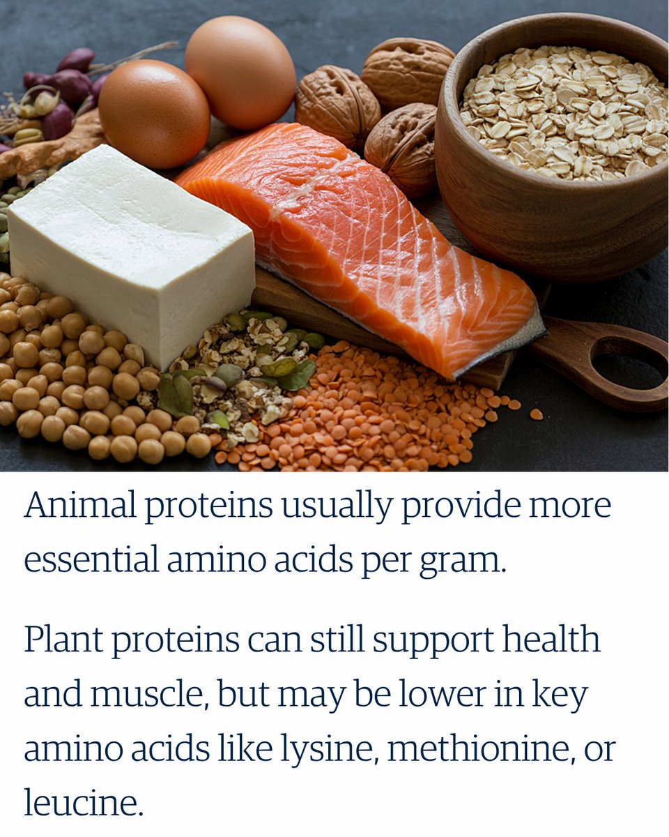 ubcLFS's tweet photo. Animal vs. plant protein is not about choosing a “winner.” 😳

Animal proteins often provide more essential amino acids per gram, while plant proteins can support heart health, boost fibre intake, and lower environmental impact.

Learn more at https://t.co/C4R5sUXjJl https://t.co/Qzm401iP77