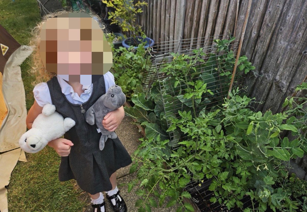 OutwoodsPrimary tweet picture