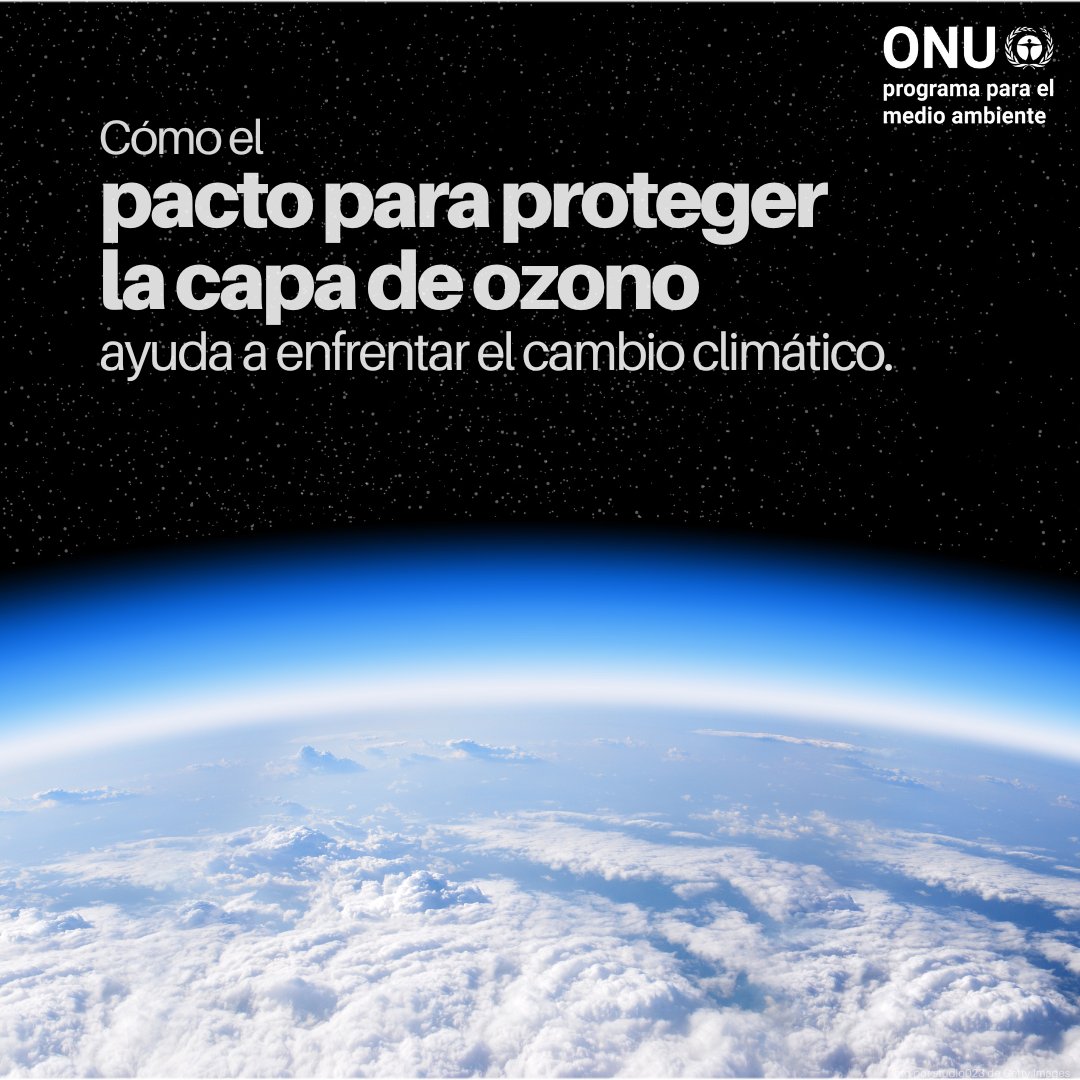 unep_espanol's tweet photo. El Protocolo de Montreal ha eliminado gradualmente el 99 % de las sustancias que agotan la capa de ozono, muchas de las cuales son potentes gases de efecto invernadero.

Al hacerlo, podría evitar hasta 1 °C de calentamiento para 2100: https://t.co/ERT27uRwzT https://t.co/wdtE9ZIqZh