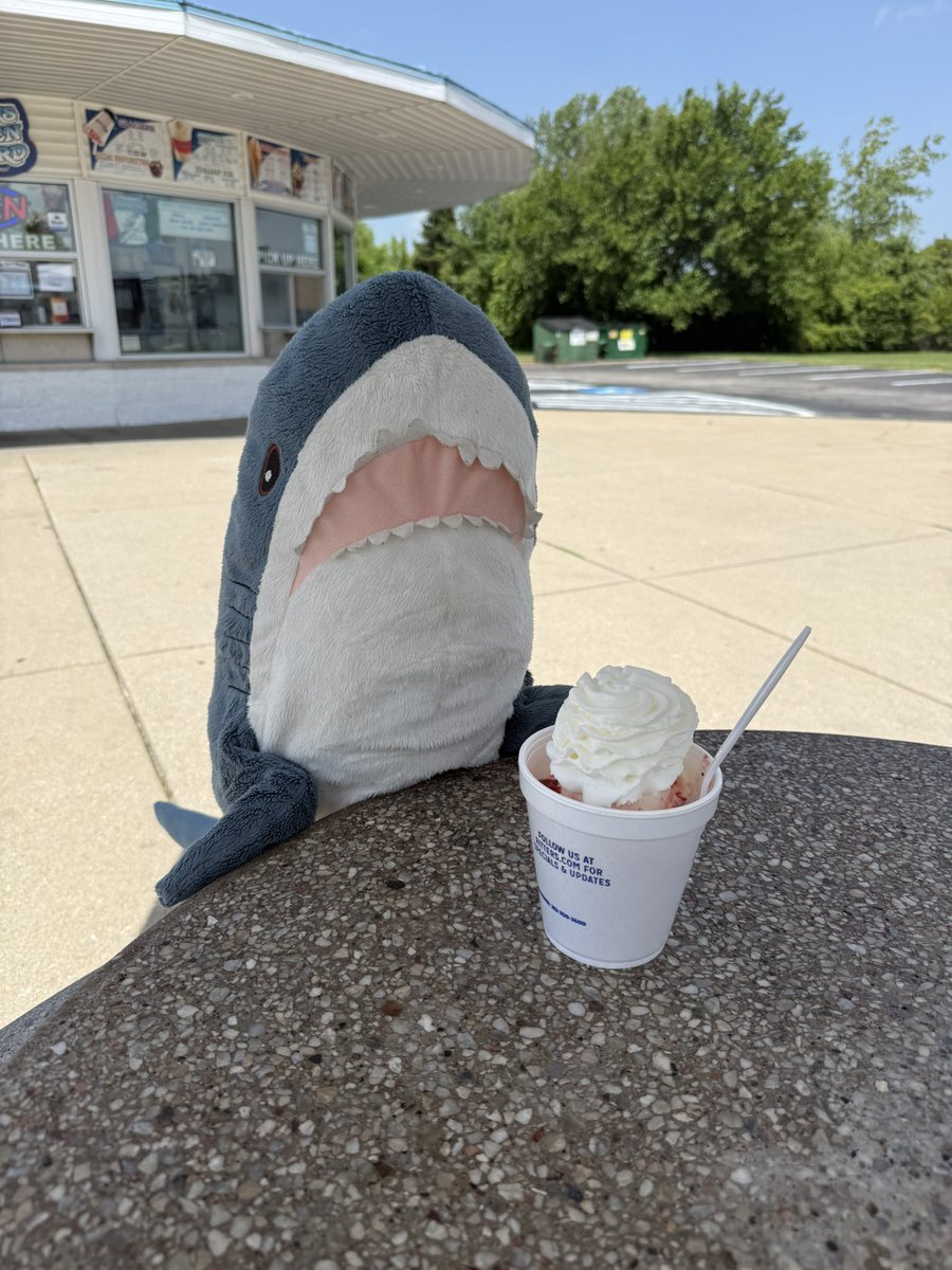 MepLeShep's tweet photo. Shork https://t.co/q0iuibvx2V