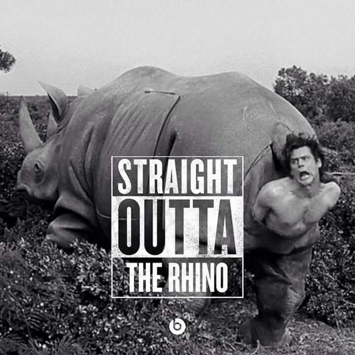 freemontra's tweet photo. @proj_true_north SUPER RINO https://t.co/f64g6NwOhT