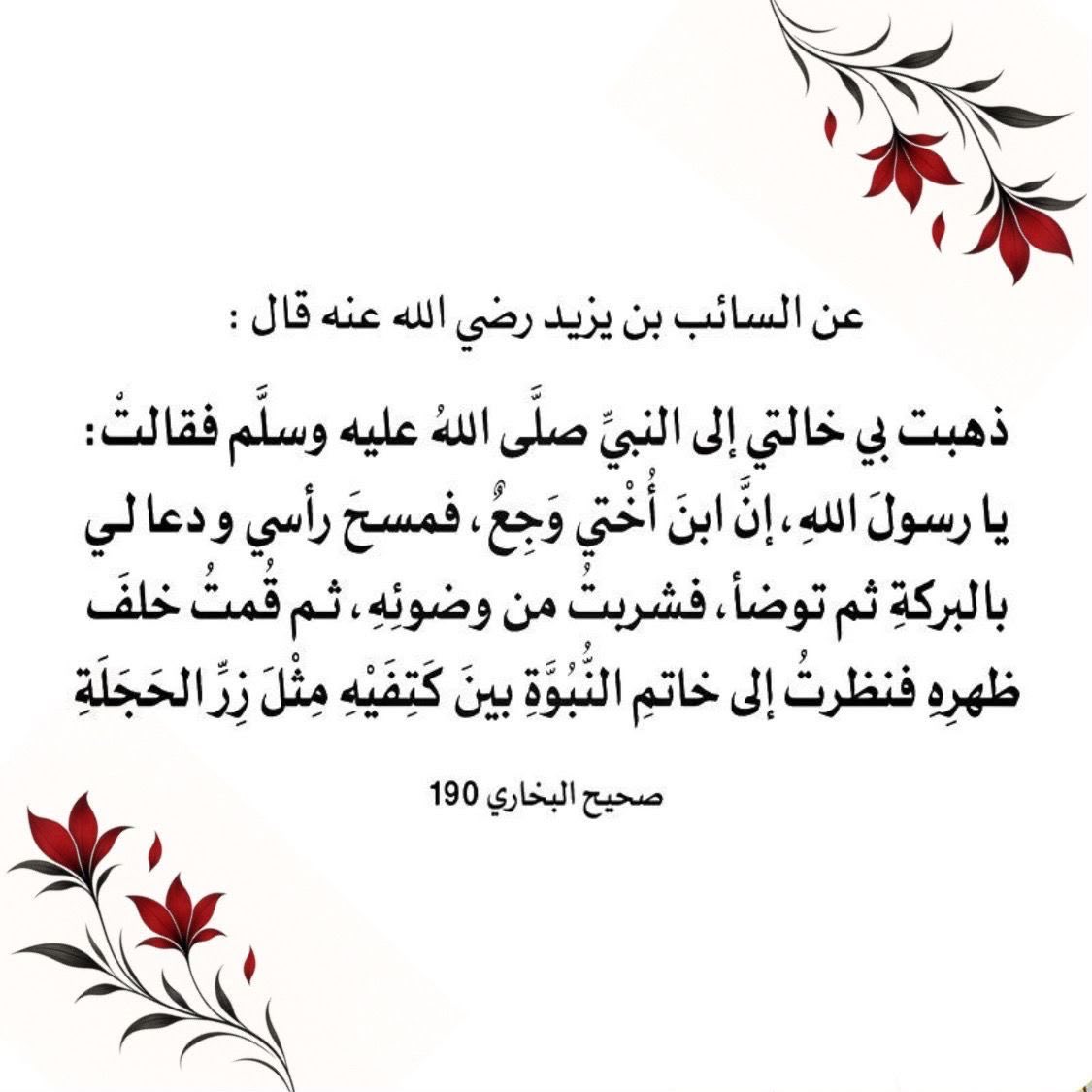 BadriyyaAljarb1's tweet photo. https://t.co/UNfeTAIz1Y
