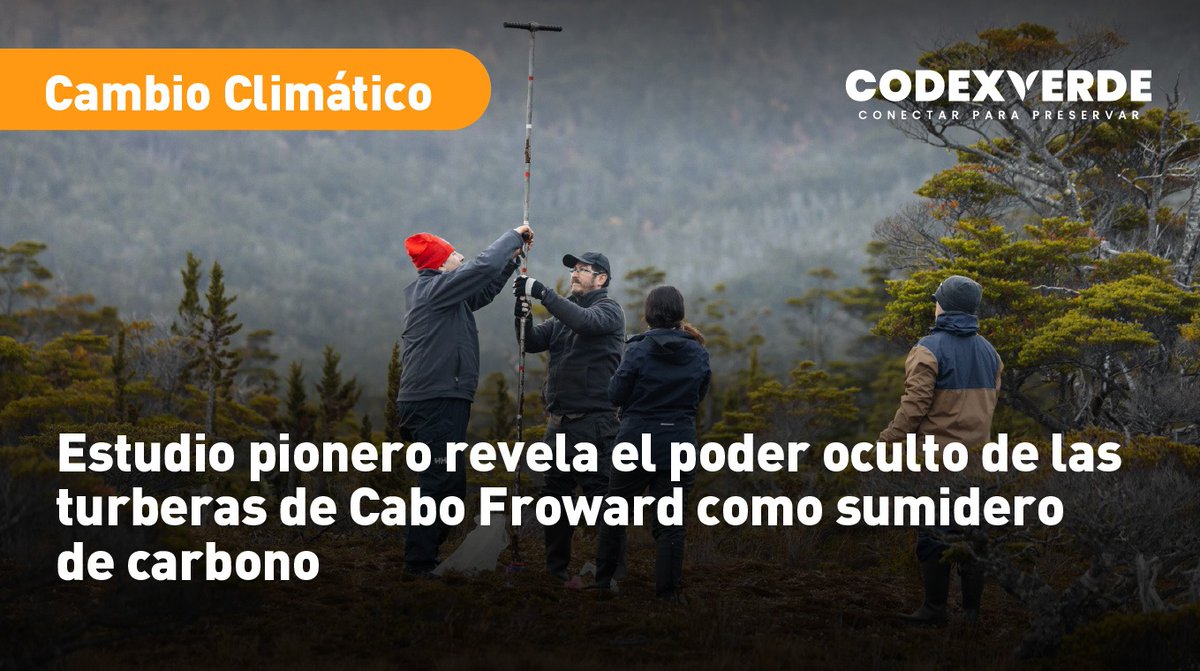 CodeXverde's tweet photo. 🔎@RewildingChile y @uchile cuantificaron volumen de carbono almacenado en el ecosistema boscoso del último rincón del continente americano, dentro del cual las turberas milenarias son las que más contribuyen a mitigar los efectos del cambio climático https://t.co/0Oh3cTaLOY https://t.co/vPK8nx8MEa
