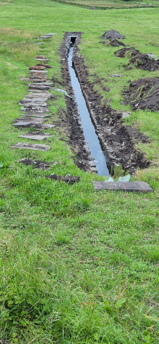 rayofoghlu's tweet photo. Repair of old field drains made from flagstones.

#miltown
#willieweek https://t.co/0XE4NiFb11