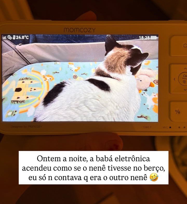 hellomount's tweet photo. o remi no berço do nextage jr KKLKKKKKKKK https://t.co/iIGJi38Aqe