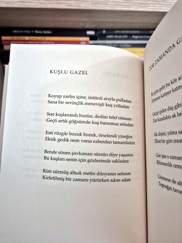 Cemasslan's tweet photo. "Son kuşlarımdı bunlar, dedim telef olmasın,
Geçti artık göğsümde kuş barınmaz anladım."

Metin Altıok https://t.co/qSUUFxMm5i