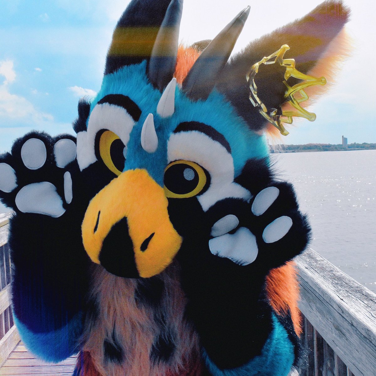 Twilight_Saint's tweet photo. Sniper will be running around #Anthrocon 
 soon!👑  #furry #furries #fursuit #fursuits #AC2026 #anthrocon2026 https://t.co/YagzEQQoe4