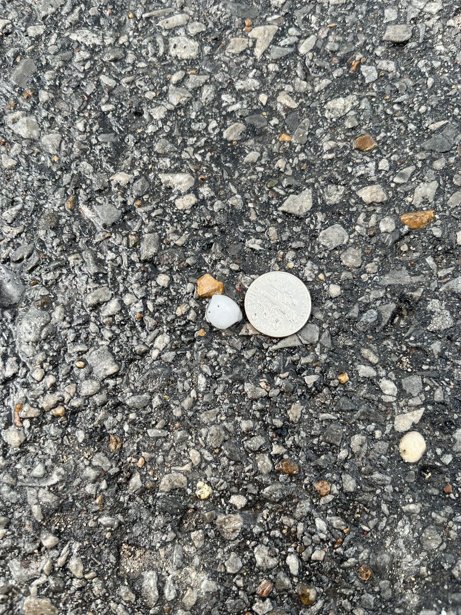 RChaseGreen's tweet photo. Pea sized hail falling in Bellevue, TN #tspotter https://t.co/KongHGSAQm
