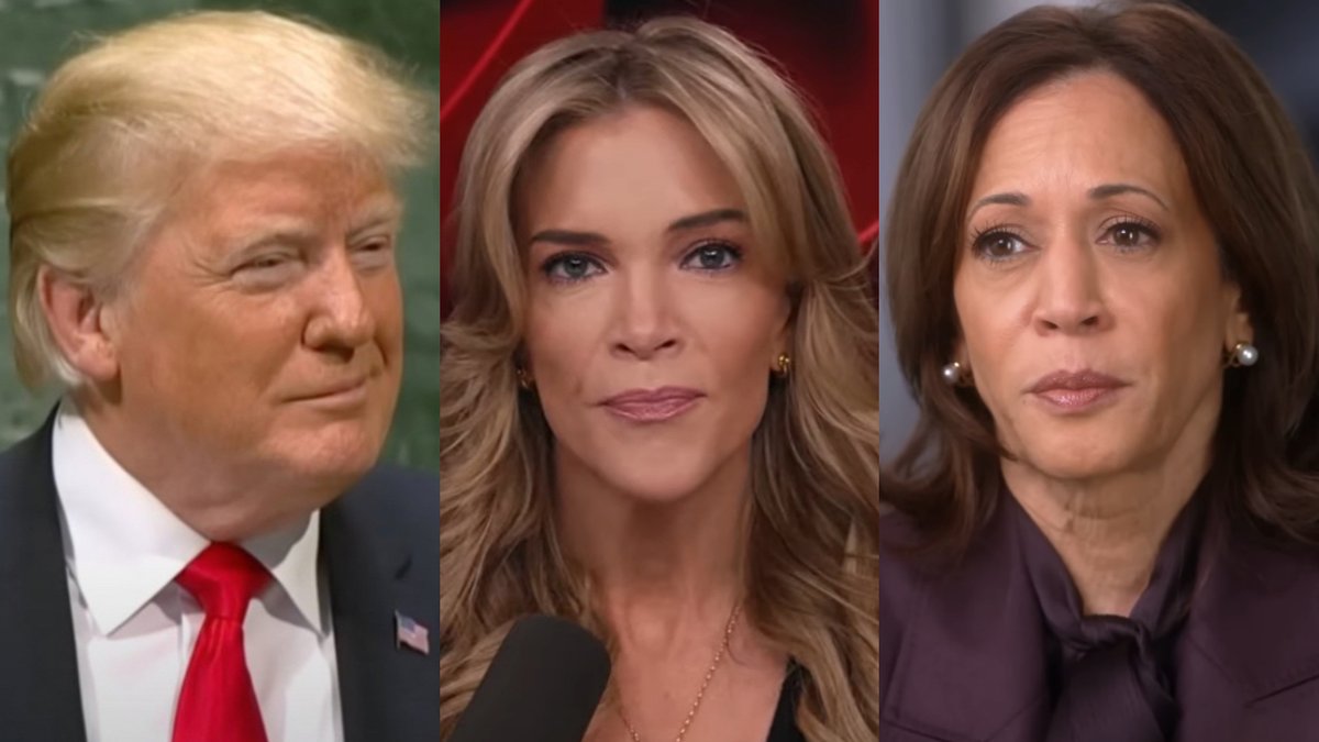 ResisttheMS's tweet photo. Megyn Kelly says that "there's no question Trump is reams better than that lunatic Kamala Harris would have been."

"Trump did close the border. That counts for a lot!" https://t.co/LdN05JQIHW