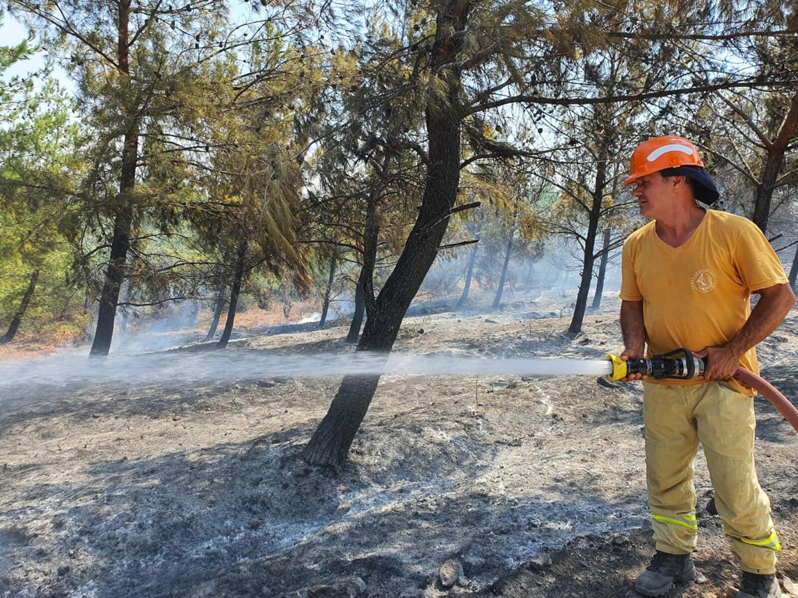 ahmetsul25's tweet photo. Doğayı korumak hepimizin sorumluluğu. İzmir ve Manisa'da yangınla mücadele eden tüm ekiplere teşekkür ediyor, etkilenen vatandaşlara geçmiş olsun dileklerimizi iletiyoruz. 🌿🇹🇷 #OrmanYangınları https://t.co/JYvXtl71vb