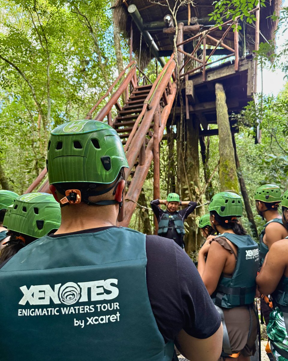 Xenotes tweet picture