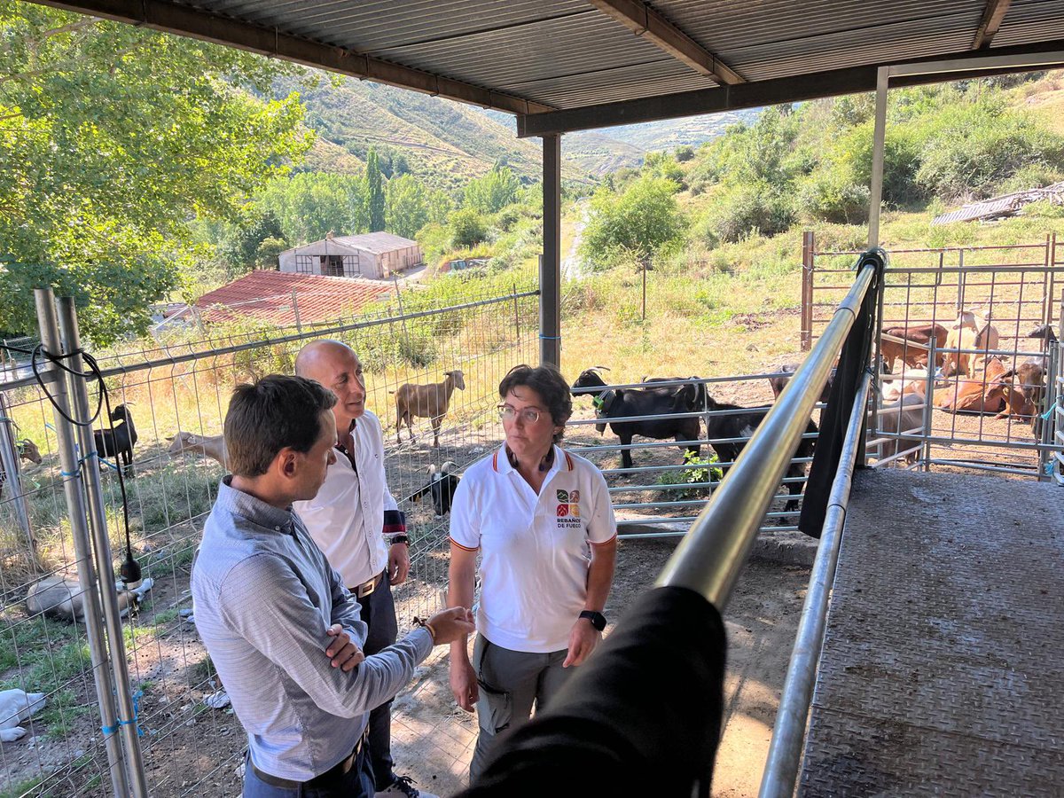 daniosesr's tweet photo. Hoy hemos visitado junto a Raquel, su promotora, sus instalaciones y el trabajo que desarrolla.
👇🏻👇🏻👇🏻👇🏻
https://t.co/0HhbasIPB2 https://t.co/pOYsvLIcCM