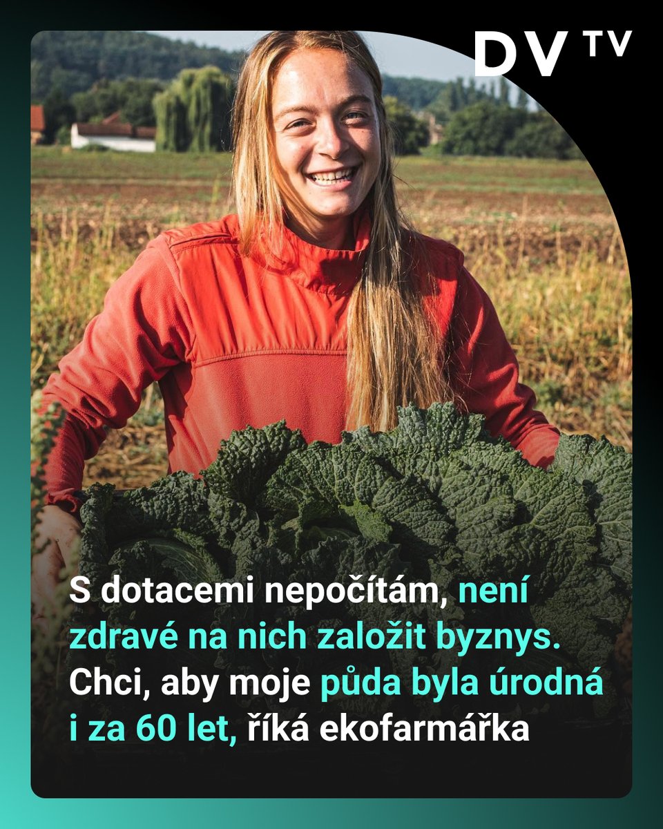 DVTVcz's tweet photo. 💬| Má vlastní farmu, která dodává i do michelinských restaurací: „Chci prodávat lidem, kteří ocení, že je to náročná práce. Na začátku jsem dostala půl hektaru na vyzkoušení, musela jsem ukázat, že jsem seriózní partner,“ říká ekologická farmářka Hana Sahulová Součková, která vyměnila studium práv za zemědělství a dnes na farmě zaměstnává i vlastní rodiče.

💬| „Jsem krajinotvůrce, nestarám se jen o pole, ale i o vodu a zvěř a udržuji biodiverzitu. Na jednom hektaru mám deset různých čeledí rostlin. Potkáte tam spoustu pavouků, to je indikátor, že je pole zdravé,“ dodává.

🎥| Celý rozhovor a stovky dalších najdete na webu DVTV! Staňte se součástí komunity předplatitelů a podpořte nezávislou žurnalistiku  👉 https://t.co/oJgTVNARTu