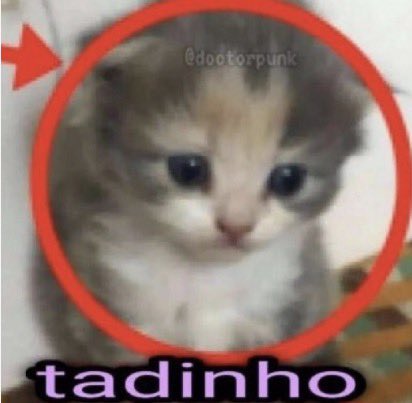 monsteroxinho's tweet photo. esquecero de mi https://t.co/T5t199uSkO