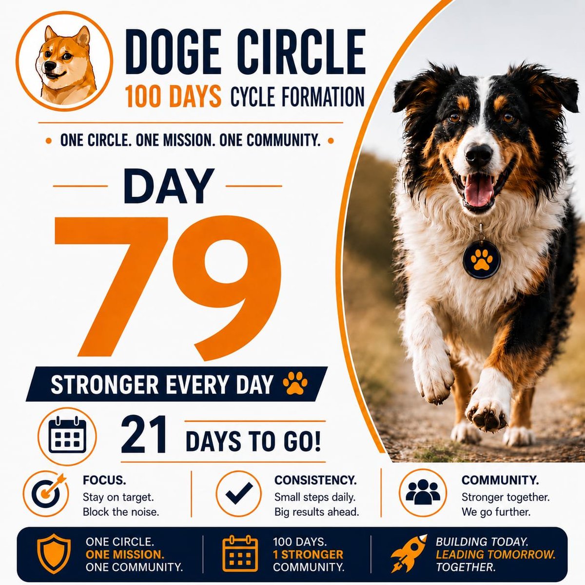 JuniorGrea99162's tweet photo. 79 day of $DGC formation,the community is still building strong momentum.
Believers are still holding tight.
Don't fade out on the next wave $DGC is about to make.
#Dogecircle https://t.co/yF6ihEaF6z