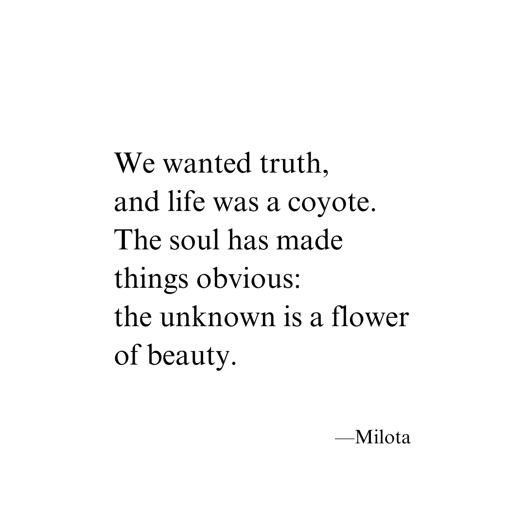 MilotaLight's tweet photo. #writing #poetry #life https://t.co/lYrzPqrkF3