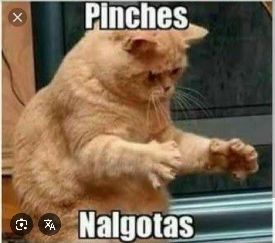 xXxCot666's tweet photo. @mariicontreraz 😋😋😋 https://t.co/n9kleJhRsD