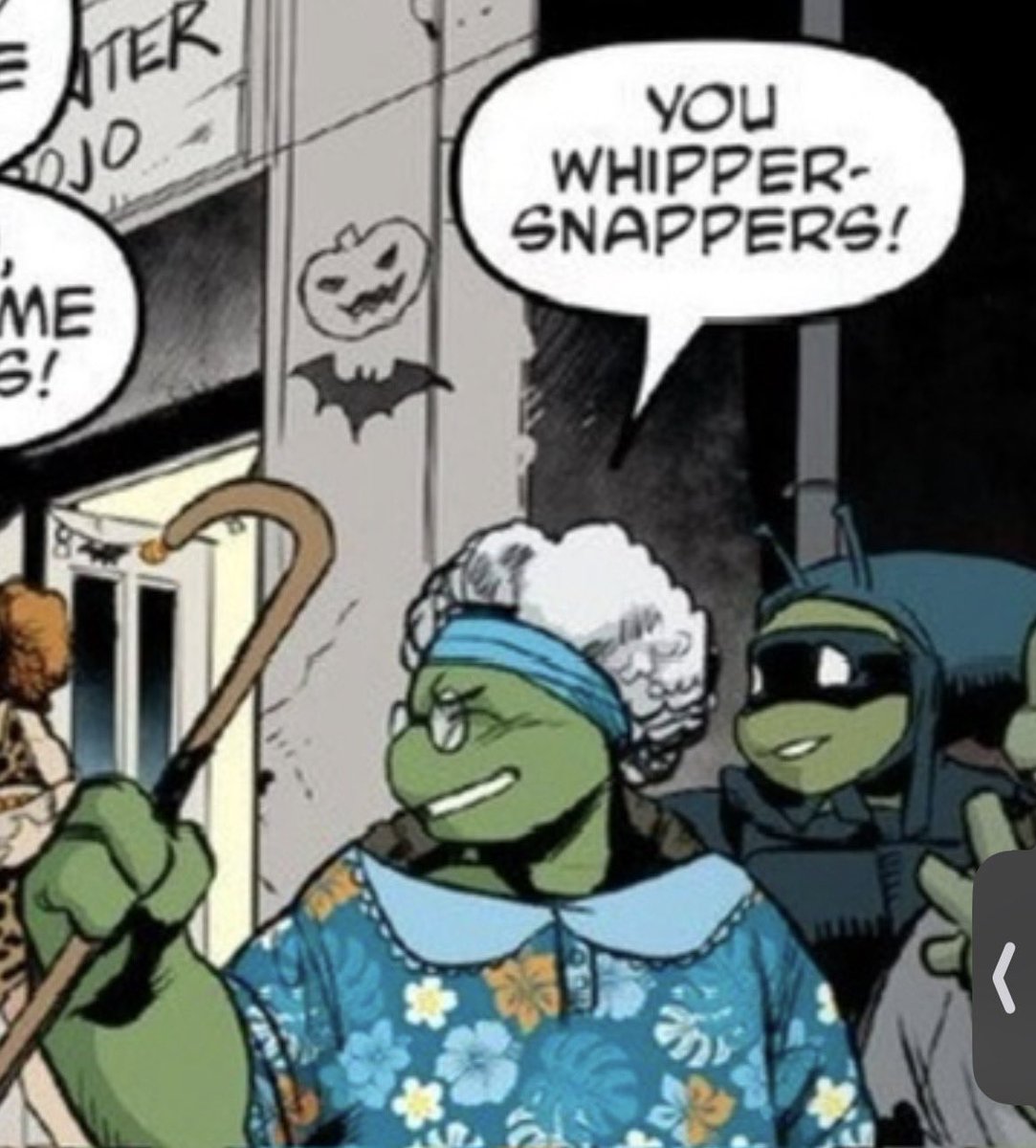 Fanta5ma5's tweet photo. If I had a nickel for every time Leo ninja turtle dressed up as a grandma- https://t.co/cgWHPFvff8