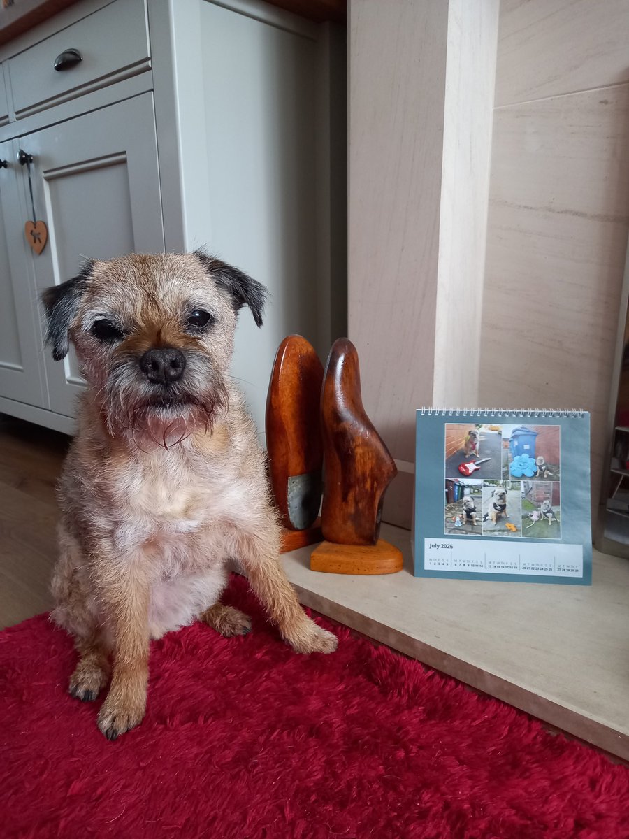 steelygreyste's tweet photo. Heidi hopes her pals ate keeping cool. Last year in July she found toys, watch out to see what she finds this month. #randomshit calendar https://t.co/6T4bWirvoY