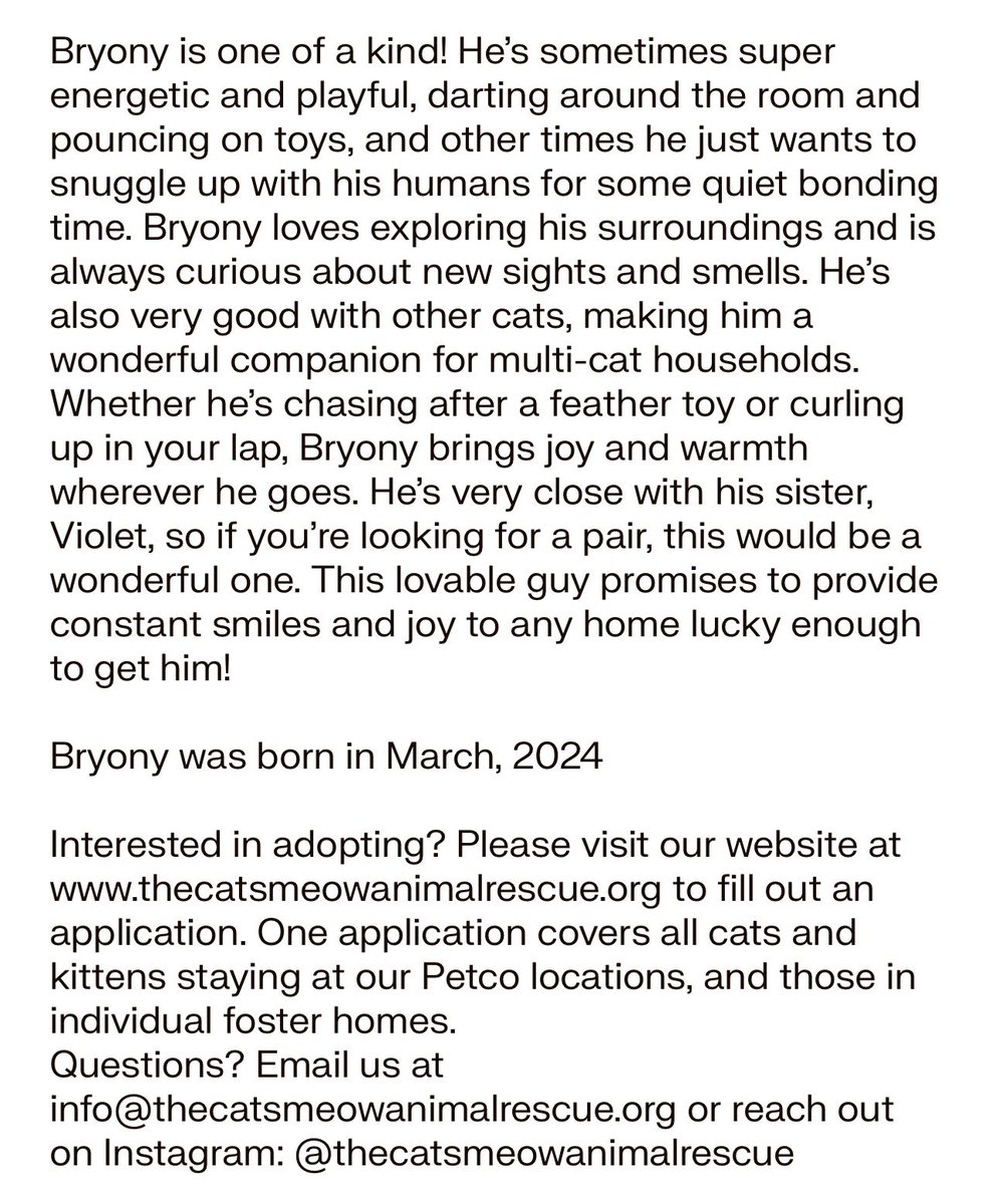 TheCatsMeowInc's tweet photo. Please share to help 2yo Bryony find a #foreverhome in #LosAngeles - he’s been waiting more than a year!

This loving guy is a wonderful companion😻

Check out his bio for adoption details

#forgottensoulshour #XCats #CatsofX #AdoptDontShop #catsoftwitter https://t.co/1TB63C2Ux0