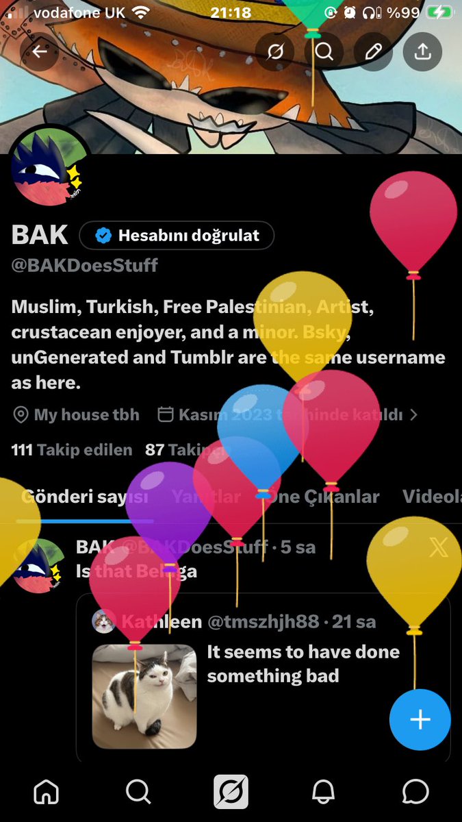 BAKDoesStuff's tweet photo. Balloons https://t.co/lOPoedLAFl