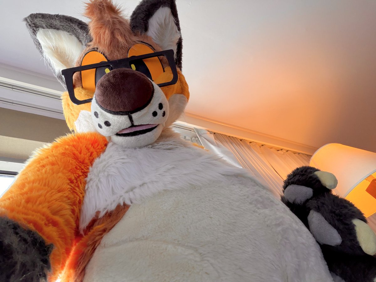 RileyRilesFox's tweet photo. Fox https://t.co/mBnAWbobEi