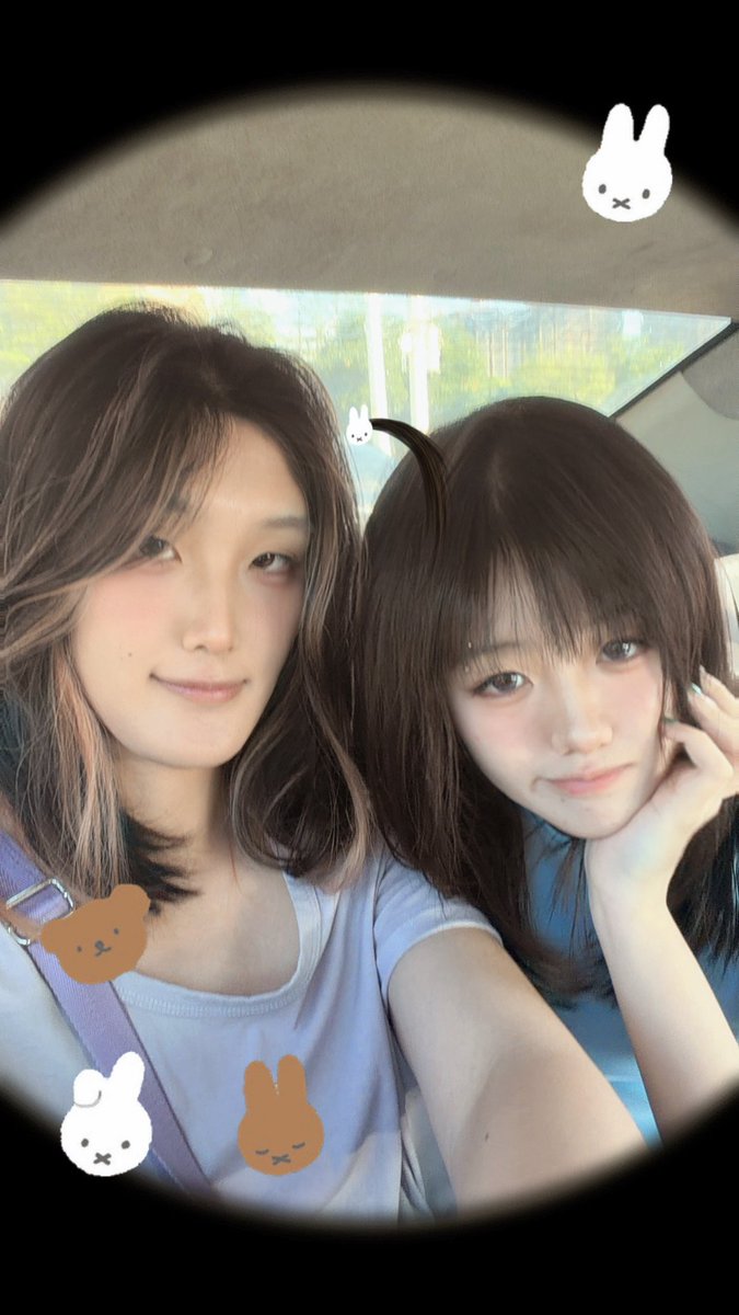普通鹅 tweet media