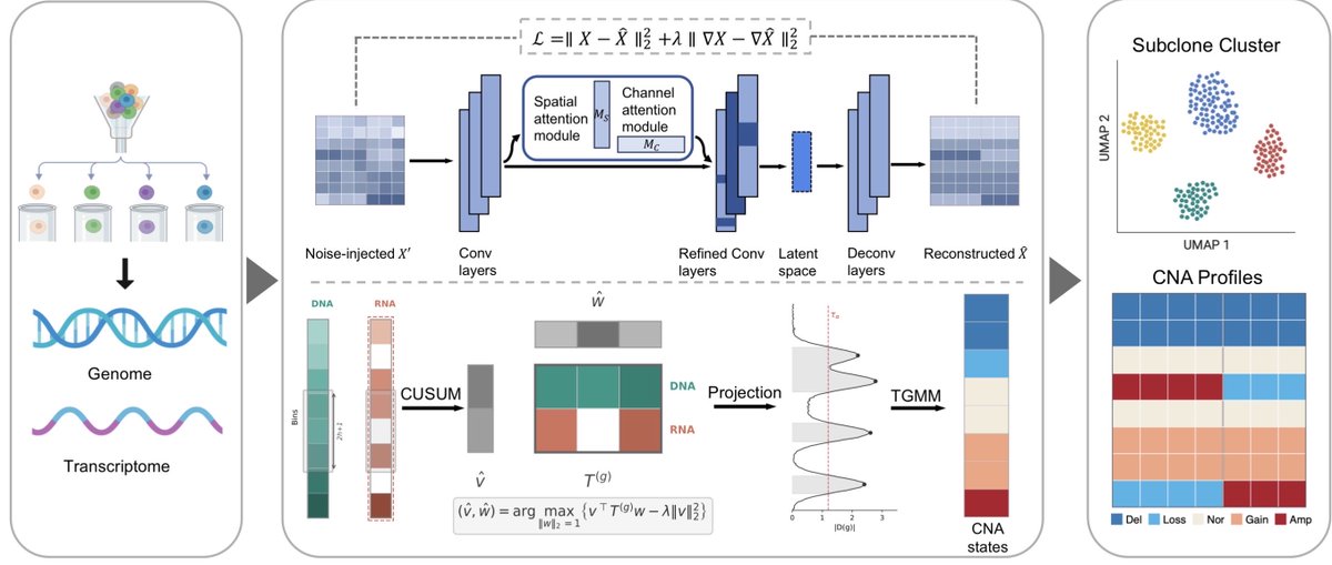 razoralign's tweet photo. MintCNA: A Unified Framework for Integrative Copy Number Profiling with Single-Cell Multi-Omics Data https://t.co/4yqQJSQLcb https://t.co/DMML2LNdZc