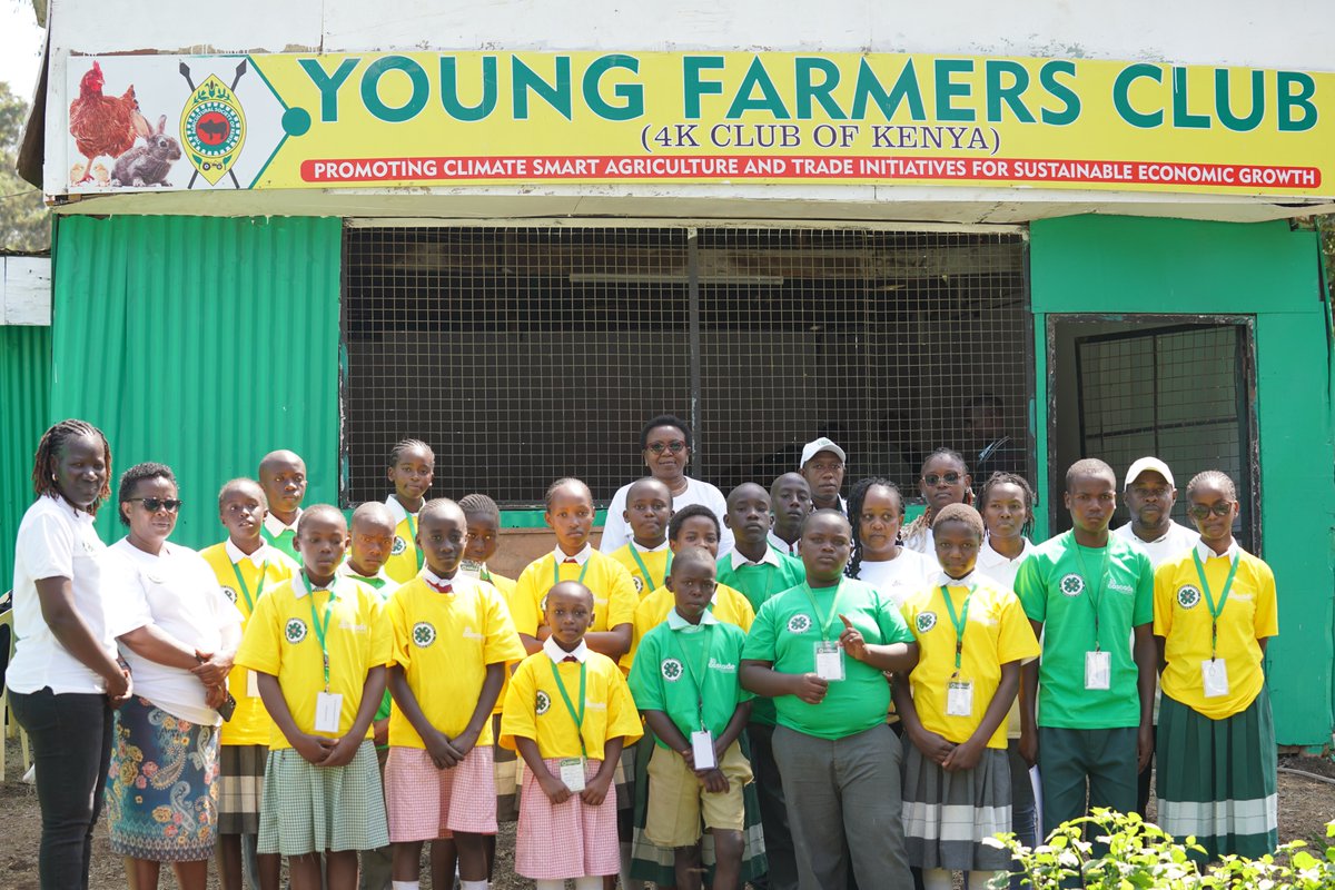 CAREinKenya's tweet photo. What if the future of food security is being planted in a school garden right now? 

For @CAREinKenya, nutrition is the foundation of a healthier future. Through the CASCADE Project, we partner with the Ministry of Education, the Youth in Modern Agriculture Unit & Nakuru County Dept. of Agriculture to bring school Kitchen Gardens & 4K Clubs to life.

Learners get hands-on training from school patrons and expert mentorship from county agronomists. They then pass this knowledge to fellow students and take it home to their families, replicating kitchen gardens and boosting household nutrition.

One school. One garden. One family at a time. This is CASCADE in action. 💚

#CAREKenya #CASCADEProject #4KClubs