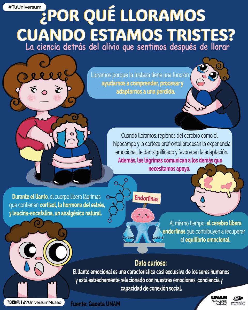UniversumMuseo's tweet photo. 😭¿Has sentido alivio después de llorar? 🥲
Te contamos por qué sucede eso. 👇

#TuUniversum https://t.co/tslATKqpoq