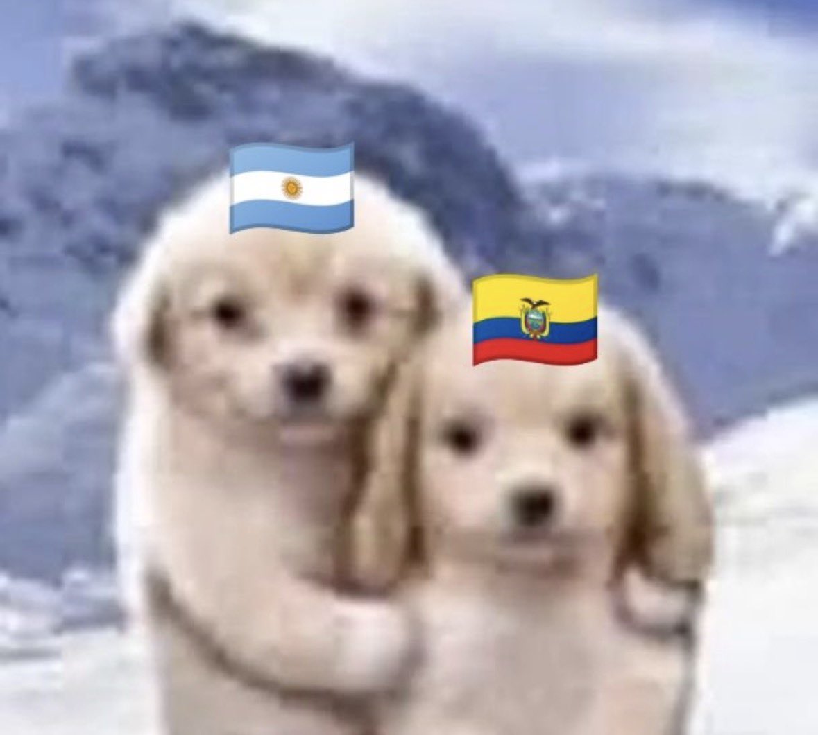 gdanielaar's tweet photo. Entro a X y todo lo que veo: https://t.co/cmMph0GZrW