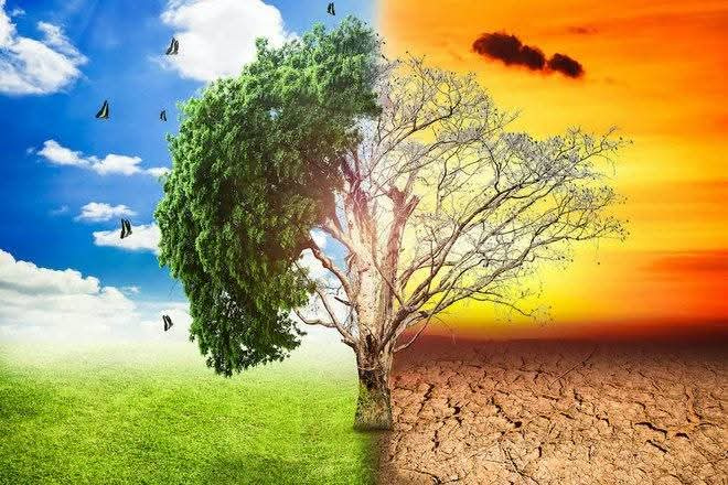 Roma's tweet photo. 🌿 Roma Capitale è la prima città italiana con una strategia integrata per ridurre l'impatto delle ondate di calore e affrontare i cambiamenti climatici
🧿 Un lavoro condiviso tra istituzioni, scienza e servizi pubblici per una risposta coordinata
Info 👉 https://t.co/NCTkSbsvKT https://t.co/eVMw9hUP1k