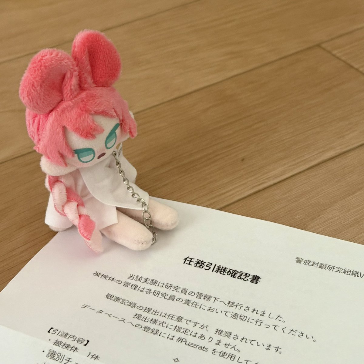 81pitto_vancli6's tweet photo. ●▽観察記録▲○

引継の写真を撮っている最中、ナンダソレは！と
言わんばかりに体当たり🫢
隅々までチェックしていた☑️
またサブヘアパーツをつけると性格が変わったようにちょこんと座り報告書を一緒に確認していた。

#Puzzrats https://t.co/R0U3p3gY61