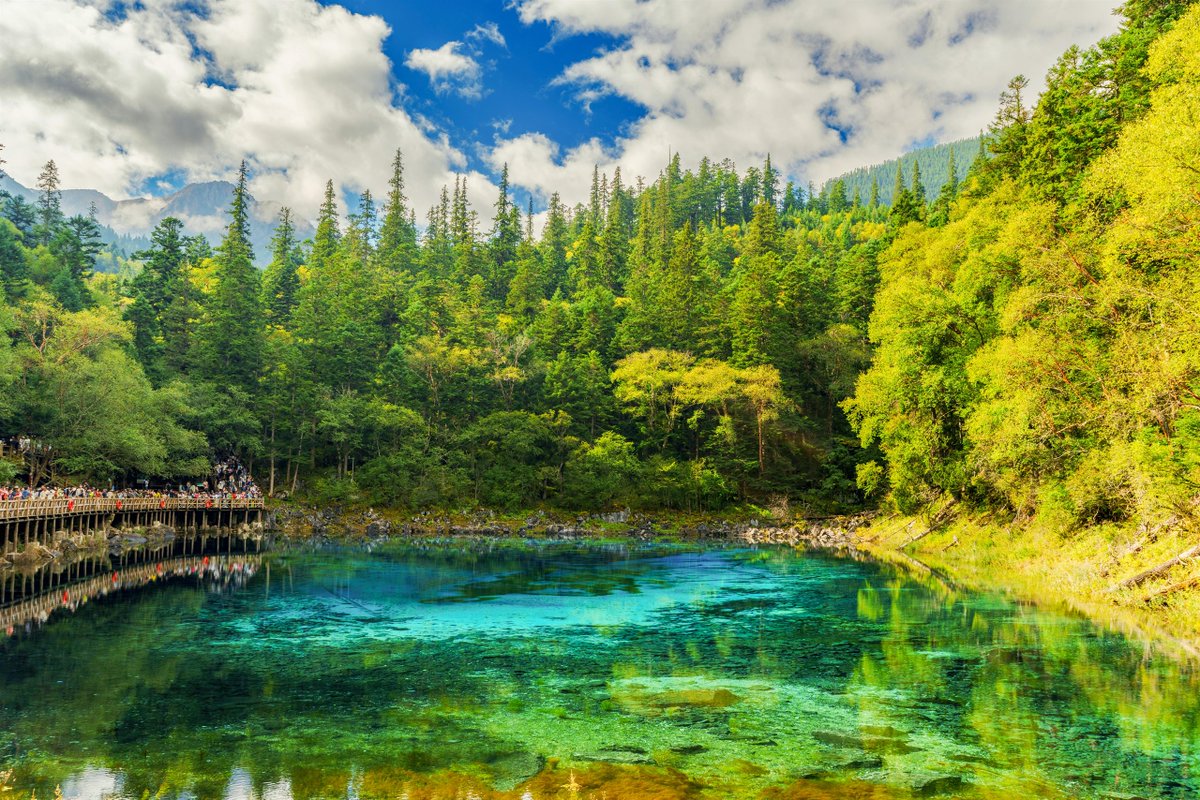 LuxuriousView's tweet photo. — 10月に訪れたい世界の絶景 —

盛夏の人波が去り、木々が色を変えていく10月。
大気は澄み、山も湖も秋の装いへと移る頃。

ヨセミテ国立公園（アメリカ）
谷を埋める木々が赤く色づき、雪をまとった花崗岩の岩壁がそびえ立つ。

ハルシュタット（オーストリア）
湖畔の家並みと鐘楼の背後で、山肌の木々が黄金に染まる朝。

九寨溝（中国）
澄んだ碧の水面に、色づきはじめた森と流れる雲が映り込む。

マチュピチュ（ペルー）
霧が稜線を渡り、雲の切れ間から段丘の街と尖った峰が姿を現す。