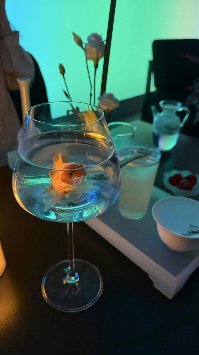 cellularRubber's tweet photo. 春游结束，晚上来酒吧喝一杯了，你们喜欢端庄的我还是逗比的我？都说说理由，我听听看。 https://t.co/d4AFpBwBIz