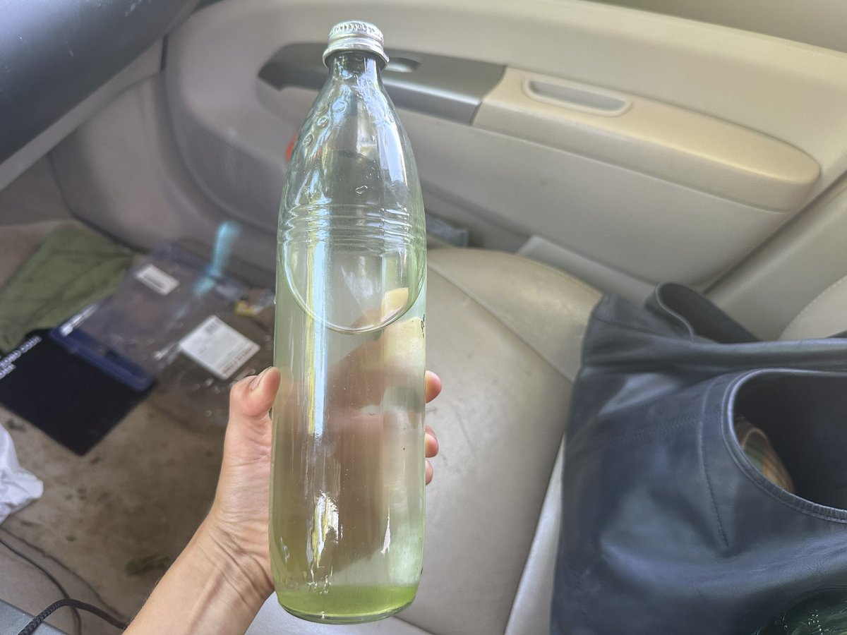 imsopopu1ar's tweet photo. My old water bottle that start growing algae or something so i just got a green one instead because that’s non of my business https://t.co/9Zfx1mOBQA
