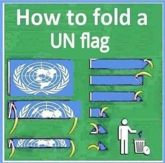 CCatguy's tweet photo. There are two steps missing here that involve lighter fluid and a match. https://t.co/No10wCkbCW
