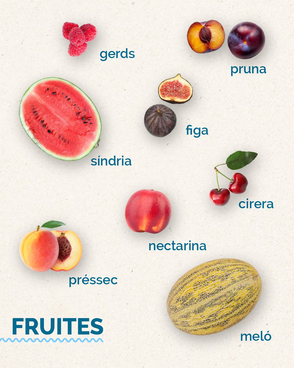 Condislife's tweet photo. Oficialment entrem al mes dels sopars a la fresca, els tuppers a la platja, els capvespres llargs i els talls de síndria ben freda a mitja tarda. 🍉⛱️

El mes de gaudir sense pressa ja és aquí. Passa per Condis, omple el cistell de colors d'estiu i a viure'l al màxim! 🛒✨ https://t.co/XfiEHGzss5