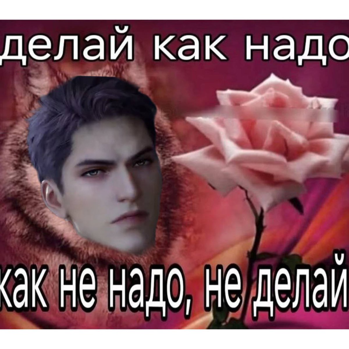 marktuanovvvv's tweet photo. Тревожку вывозим только на мемах

@Love_Deepspace как не надо не делай

#BRINGBACKVALKO 
#VALKOSTAY 
#Valko 
#LadsReturnValko 
#BringValkoBack https://t.co/0GwPg3J1fq