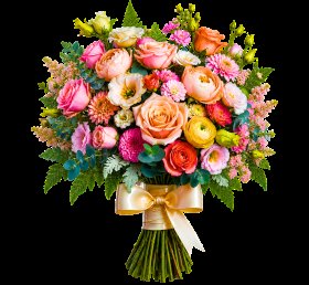 MessiahMGD's tweet photo. 🤩🤩🤩🤩🤩🤩 https://t.co/0ltffr55Pv